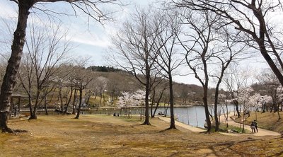 🏞️ 기타야마 시립 공원 (기타야마 시리츠 코엔) 이미지 2